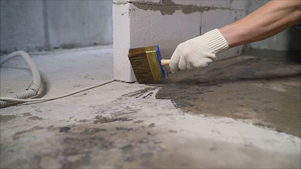 SJ Waterproofing Pros Waterproofing coverage map for Clyde, NC and surrounding area